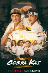 xIMG-55.webp.pagespeed.ic.wt5qW5hPVn